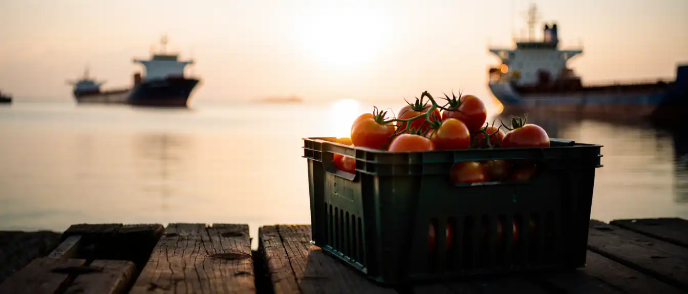 Азовский кризис не ударит по продуктовым полкам: Минсельхоз успокоил рынок