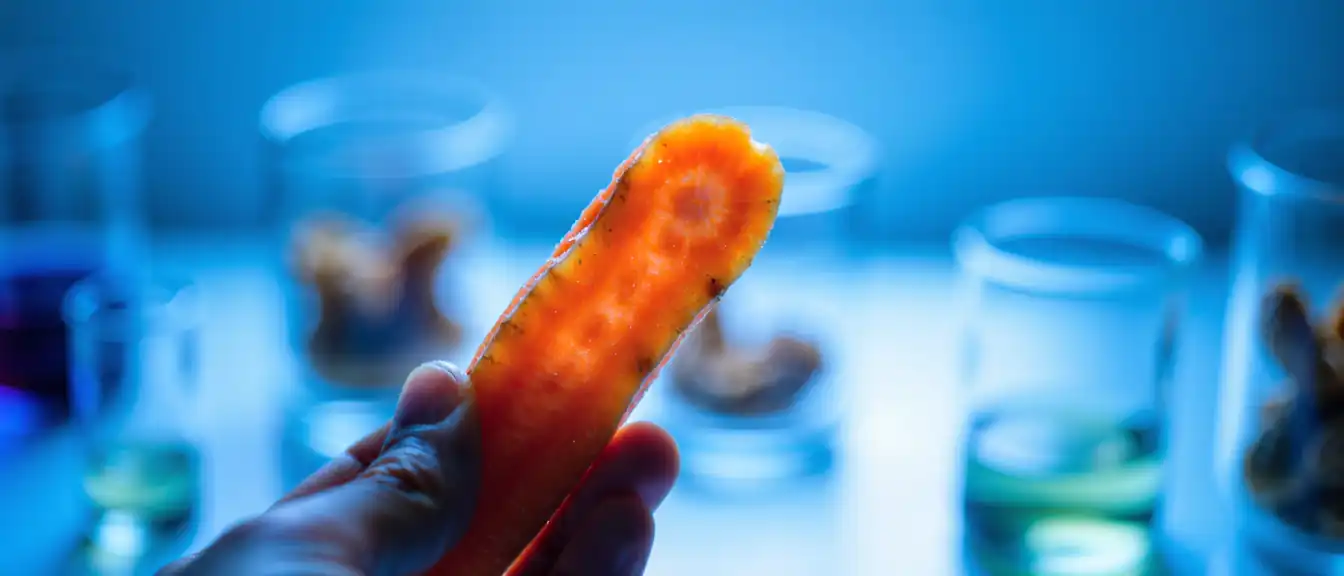 Технология возвращения вкуса: как сделать сушеные корнеплоды такими же полезными, как свежие