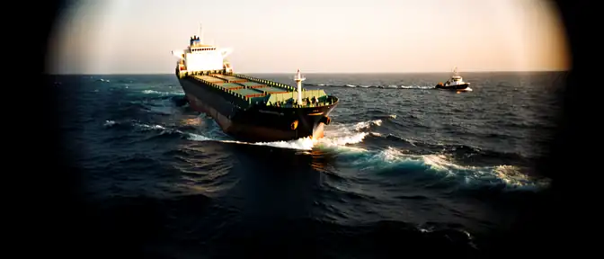 Трагедия в Красном море: индийское грузовое судно пошло ко дну после артиллерийского удара
