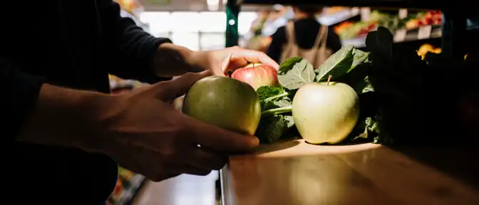 Еда вместо отходов: в России хотят внедрить систему бесплатной раздачи продуктов