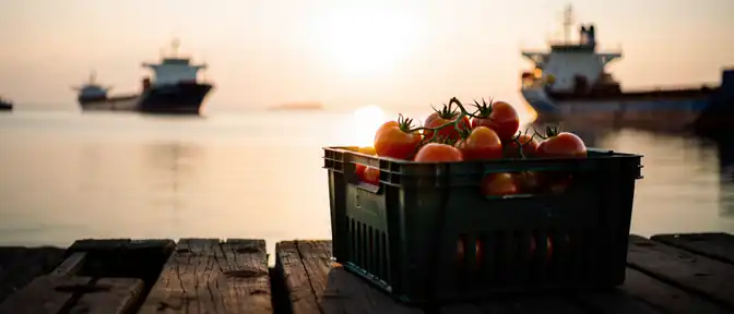 Азовский кризис не ударит по продуктовым полкам: Минсельхоз успокоил рынок