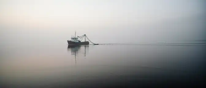 Расширение зоны запрета на промысел в Каспийском море: Росрыболовство объявило о введении нового защитного участка